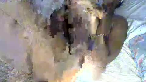 Snapshot of pettite_cora1 chatting on 05-13-26, 11:40 pettite_cora1 online show from 05-13-26, 11:40