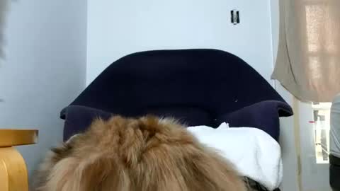 Snapshot of phattbooty80 chatting on 12-09-24, 05:52 TheSkyeWoods online show from 12-09-24, 05:52