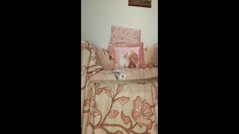 philos1979 online show from 01-19-26, 01:31