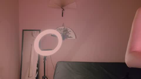 phoenixx_x online show from 07-26-26, 08:27