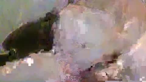 Snapshot of pickup844 chatting on 01-04-25, 08:39 Pickup844 online show from 01-04-25, 08:39