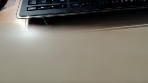 pier49x online show from 12-04-24, 03:15