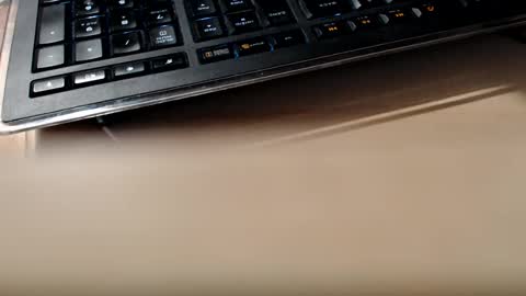 pier49x online show from 02-13-25, 01:50