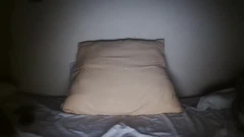 Snapshot of pieslatinos chatting on 01-31-25, 04:14 pieslatinos online show from 01-31-25, 04:14