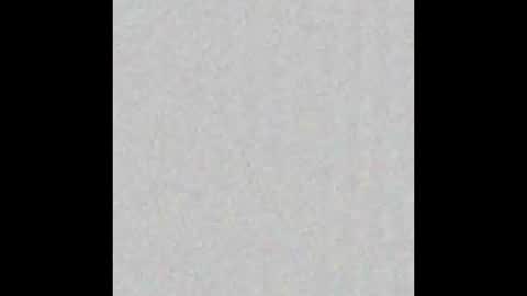 Snapshot of piledriver3469 chatting on 11-01-25, 01:57 piledriver3469 online show from 11-01-25, 01:57