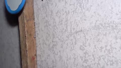 pinay_yummy28 online show from 12-02-24, 08:22