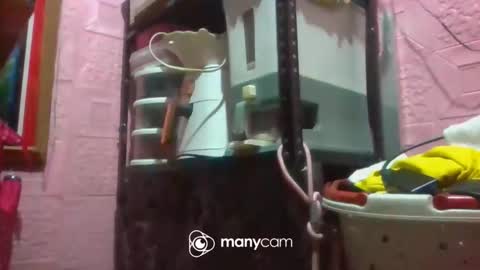 PinayThali08 online show from 11-21-25, 03:11