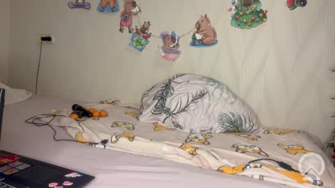 Pikachu pika online show from 02-19-26, 10:06