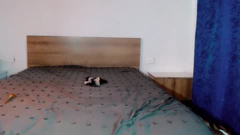 Snapshot of pinkliminof chatting on 04-30-26, 04:24 Pamela Ston online show from 04-30-26, 04:24