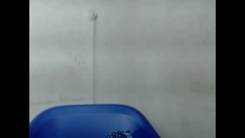 Snapshot of pinkxsugar chatting on 09-10-25, 06:13 pinkxsugar online show from 09-10-25, 06:13