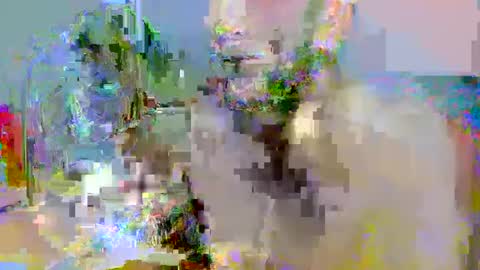 Snapshot of pipe_sexxx chatting on 10-14-25, 02:34 pipe_sexxx online show from 10-14-25, 02:34