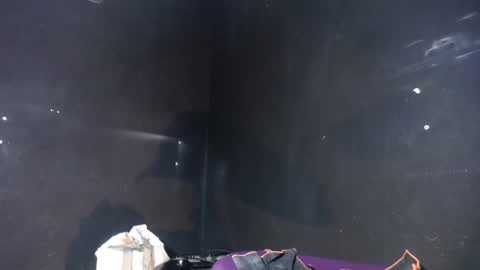 pirata_privado online show from 12-05-25, 10:35