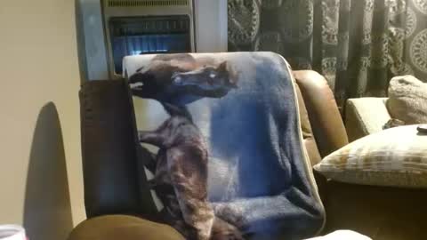 pirate334 online show from 01-18-26, 04:38