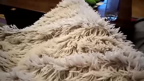 Antn online show from 02-09-25, 06:33