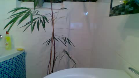 piwo58 online show from 03-06-25, 06:37