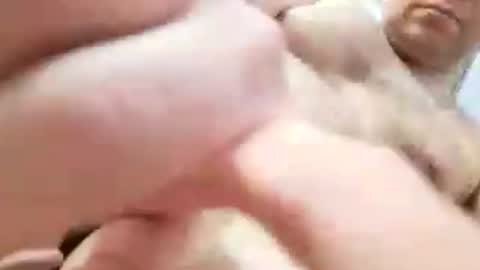 Gkay53 online show from 06-15-26, 03:14