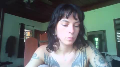 Snapshot of pixiecatfairy chatting on 11-11-25, 06:24 pixiecatfairy online show from 11-11-25, 06:24