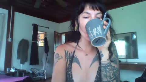 Snapshot of pixiecatfairy chatting on 11-13-25, 02:21 pixiecatfairy online show from 11-13-25, 02:21