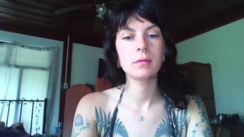 Snapshot of pixiecatfairy chatting on 11-23-25, 03:17 pixiecatfairy online show from 11-23-25, 03:17