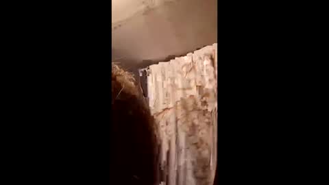 pizzedwife online show from 02-04-26, 07:09