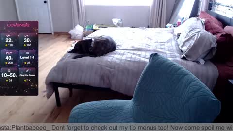 Plantbabeee online show from 02-26-25, 06:00