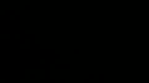 playerboybunny online show from 12-01-25, 09:03