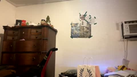 playerboybunny online show from 04-28-26, 12:09