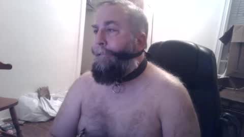 pleasurepuppt online show from 12-03-24, 01:52