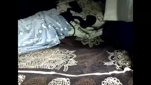 pollachico online show from 02-18-26, 08:32