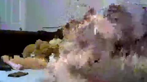 sativa  indica online show from 01-12-26, 01:22