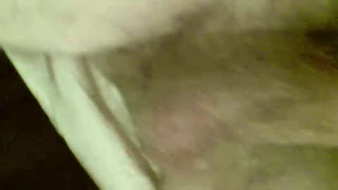 OD online show from 11-26-25, 07:48