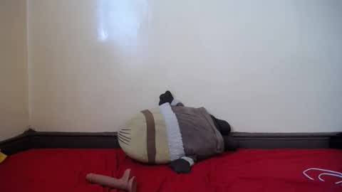 Snapshot of popetykely00 chatting on 02-18-25, 08:38 popetykely00 online show from 02-18-25, 08:38