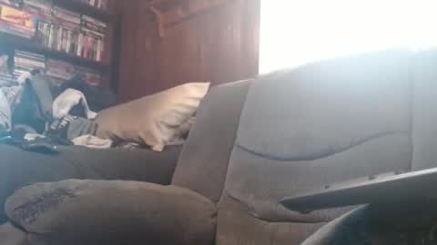 porkingit400 online show from 02-14-25, 05:14