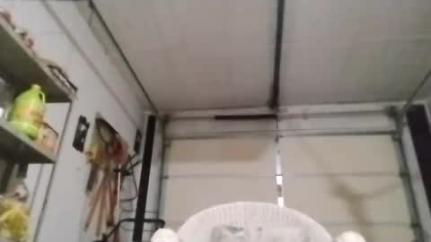 PipeLayerPlayer007 online show from 10-04-25, 05:38