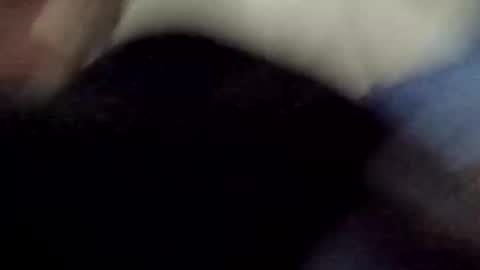 PipeLayerPlayer007 online show from 04-08-26, 04:34