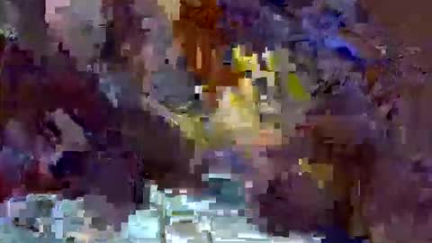 precious_nesh online show from 05-13-26, 11:07