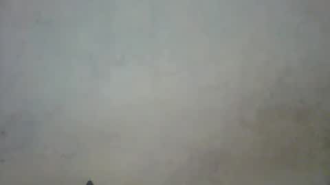 prettycarl_2 online show from 03-01-25, 10:42