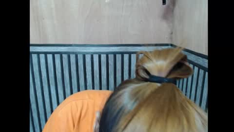 Kate online show from 11-07-25, 06:08