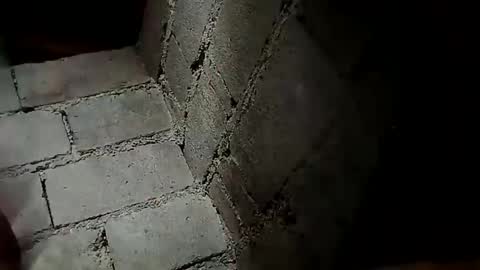 Snapshot of prettyneca5991 chatting on 12-19-24, 11:57 prettyneca5991 online show from 12-19-24, 11:57