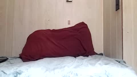 prettysolidd7 online show from 12-02-24, 08:52