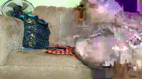 Snapshot of prettytashil200 chatting on 05-13-26, 10:56 prettytashil200 online show from 05-13-26, 10:56