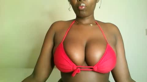 Snapshot of prettyvishy chatting on 11-15-25, 02:20 prettyvishy online show from 11-15-25, 02:20