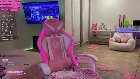 Cece  NEXT LIVESTREAM -- DEC. 4th  7 PM CST online show from 02-12-25, 04:01