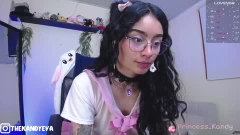 Snapshot of princess_kandy_ chatting on 01-07-25, 01:28 evaaa new account Beth online show from 01-07-25, 01:28