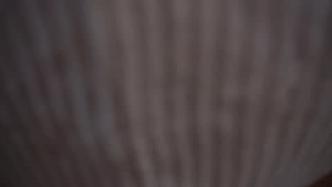 Snapshot of princessasiana chatting on 02-09-25, 11:14 Assi  Incognito girl online show from 02-09-25, 11:14