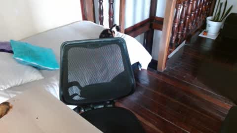 prismm_ online show from 09-14-25, 01:21