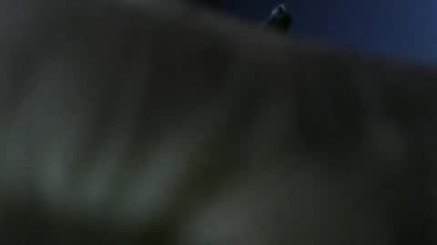 Snapshot of privatefuckit chatting on 01-05-26, 09:51 privatefuckit online show from 01-05-26, 09:51