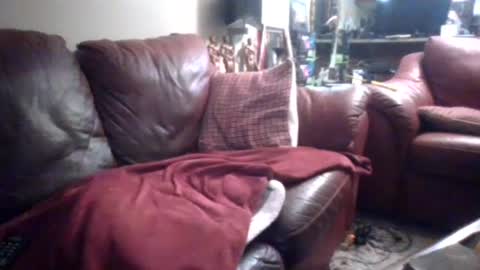 Snapshot of probody chatting on 09-14-25, 02:16 MUSCLEGOD online show from 09-14-25, 02:16