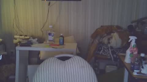 projectorepson online show from 03-20-26, 07:52