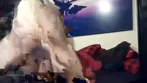 Snapshot of properttw chatting on 10-13-25, 04:29 properttw online show from 10-13-25, 04:29